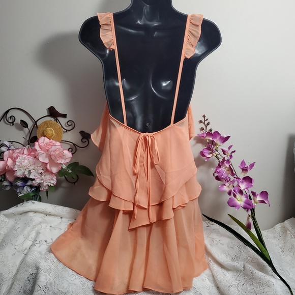 Nasty Gal Tiered Ruffle Chiffon Dress - Picture 6 of 6